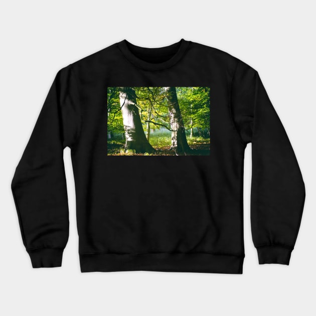 Two Beech Trees in a Wood Crewneck Sweatshirt by heidiannemorris